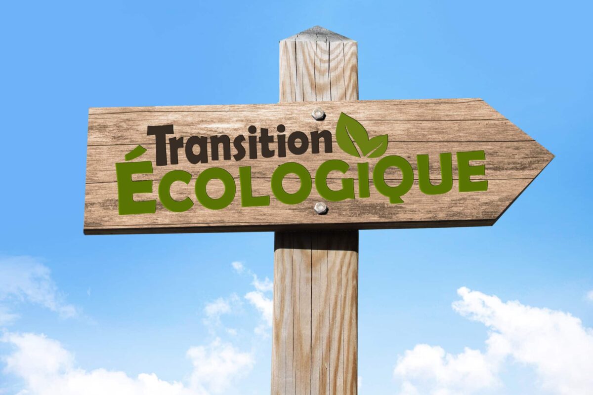 Tout ce que vous devez savoir sur cette école de la transition écologique 